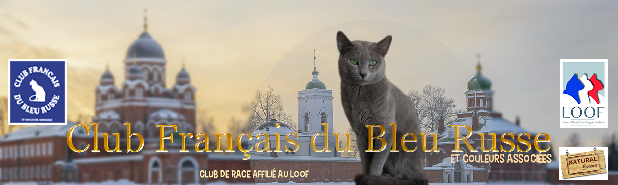 Club Français du Bleu Russe